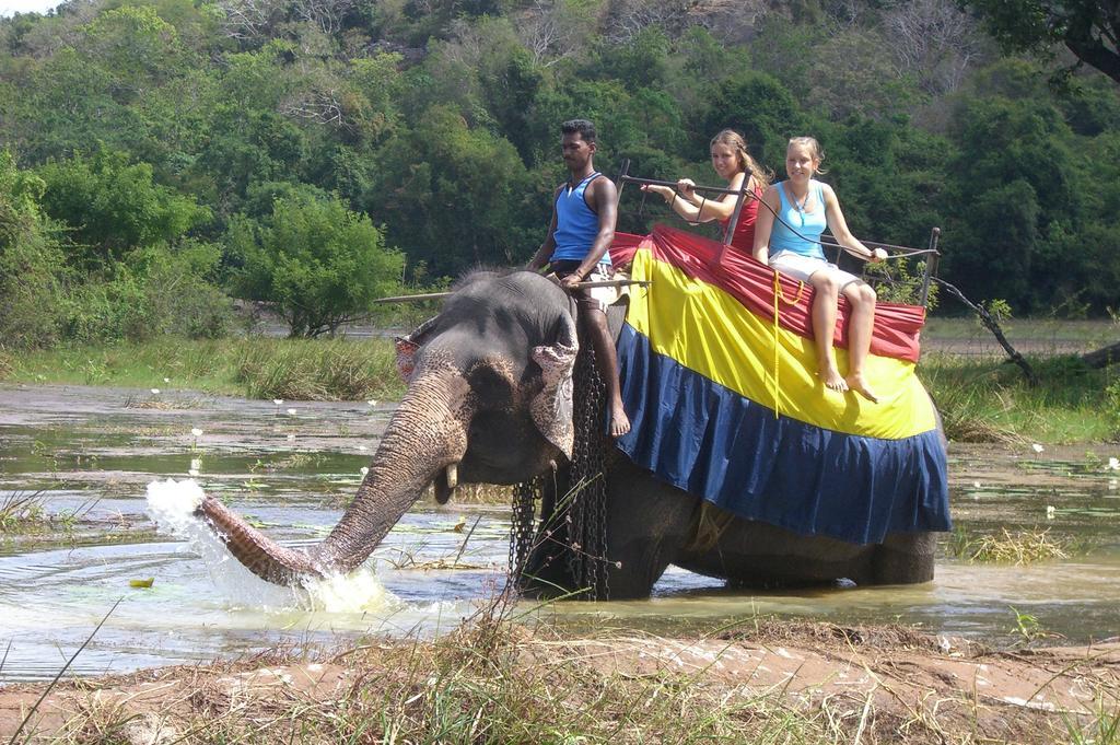 Risenlak Holiday Resort Polonnaruwa Eksteriør billede
