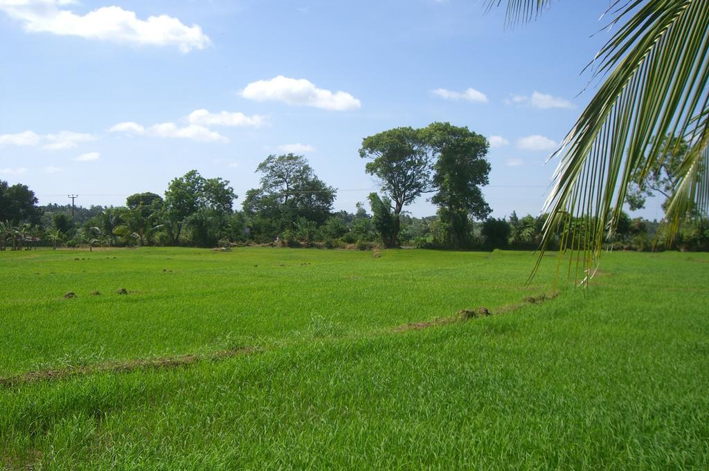 Risenlak Holiday Resort Polonnaruwa Eksteriør billede