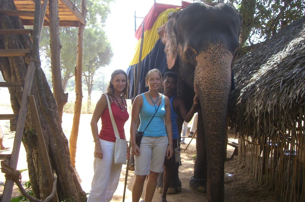 Risenlak Holiday Resort Polonnaruwa Eksteriør billede