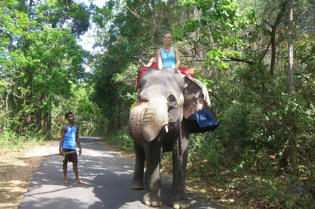 Risenlak Holiday Resort Polonnaruwa Eksteriør billede