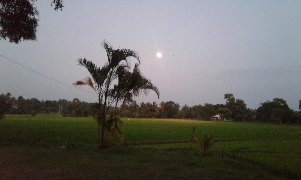 Risenlak Holiday Resort Polonnaruwa Eksteriør billede